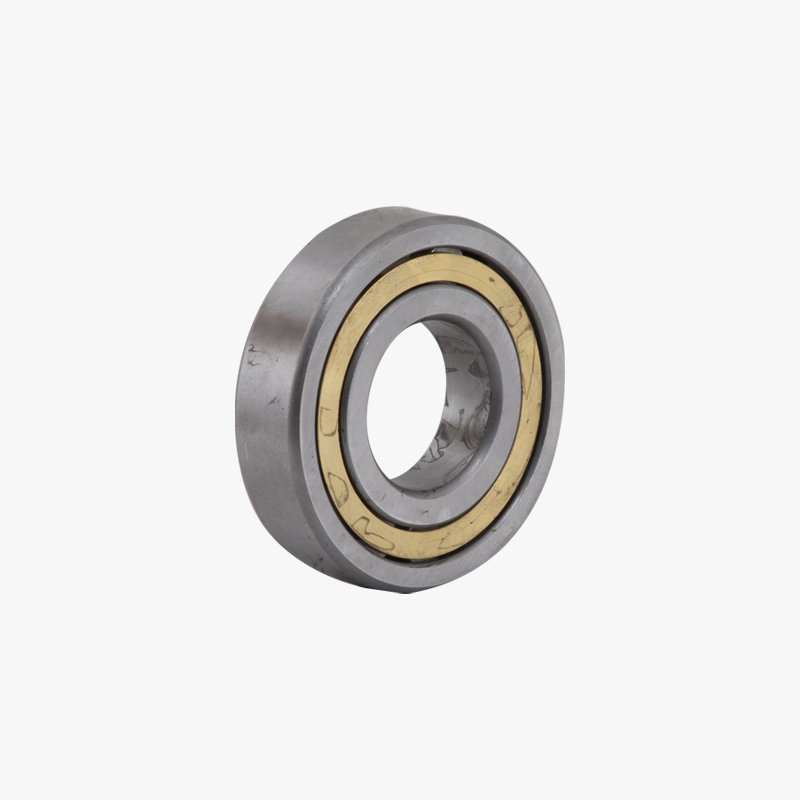 G-160 N309 REAR COVER BEARING