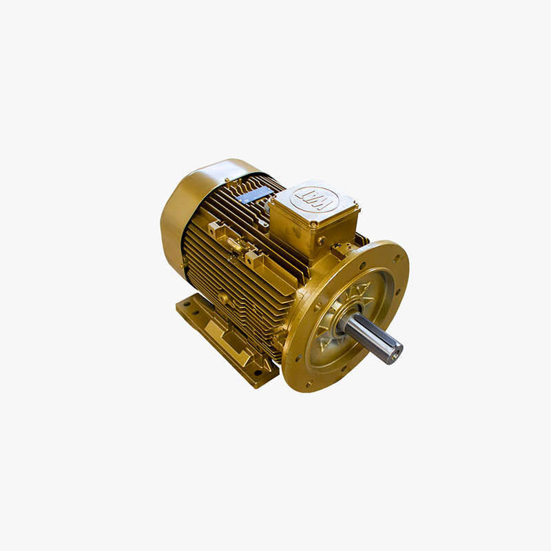 ELECTRICAL ENGINE 22 kW