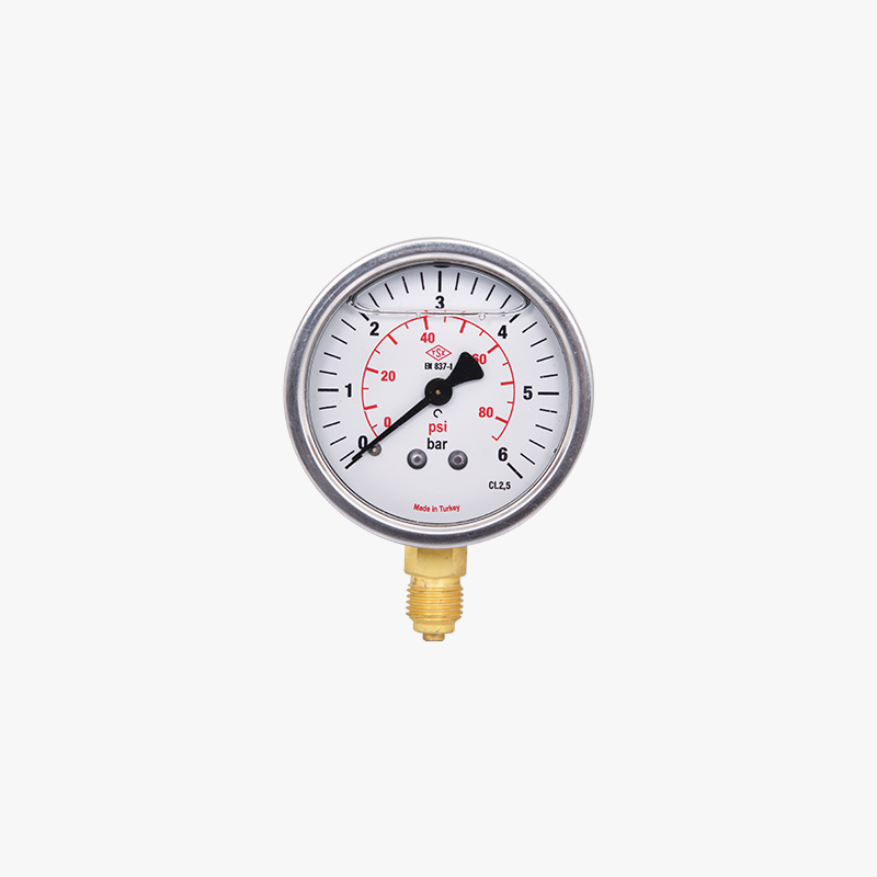 G-220 PRESSURE GAUGE