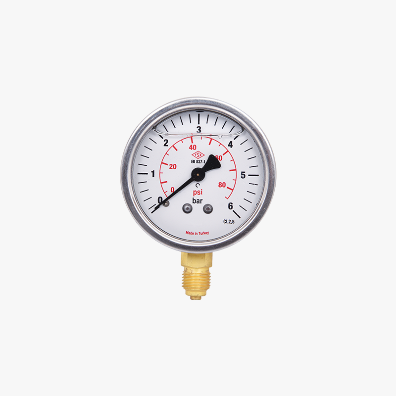 G-160 PRESSURE GAUGE